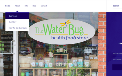 The Water Bug: Website Development