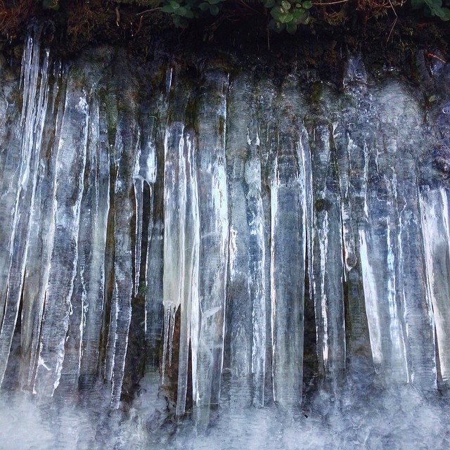 Warblr Photography: The west wall of Stanley park was a giant sheet of ice on Sunday.  It was incredible.  Go see it if it hasn't melted already!